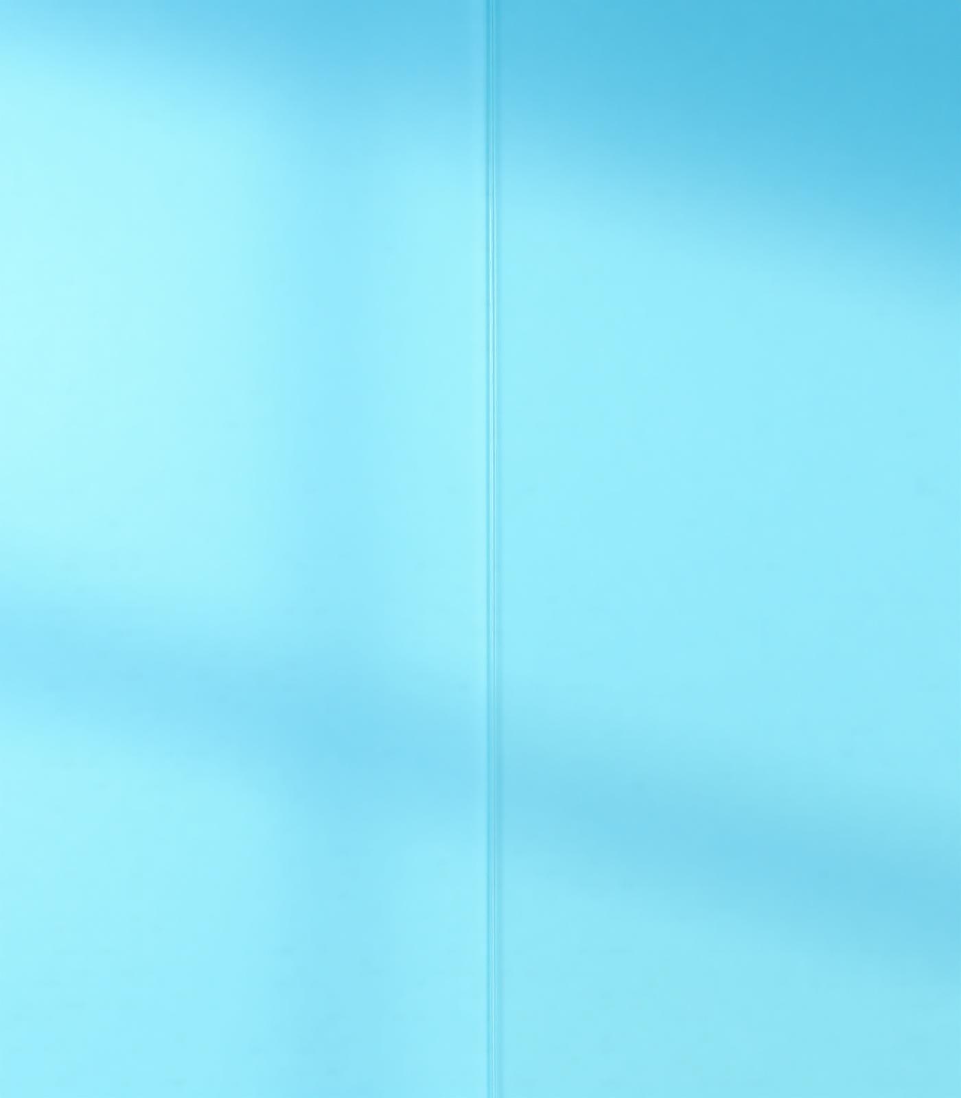Privacy Series
